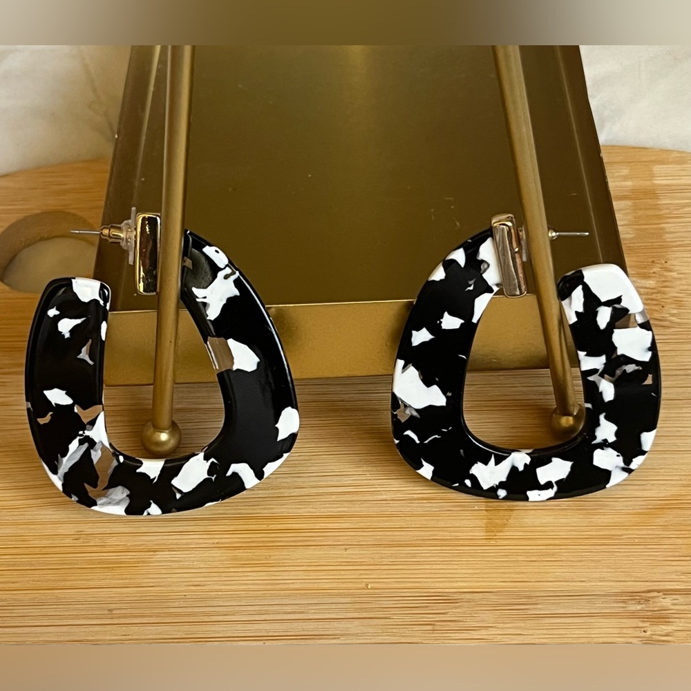 Abstract Modern Hoop Lucite Speckled Earrings